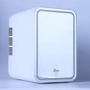 Mini Car Refrigerator